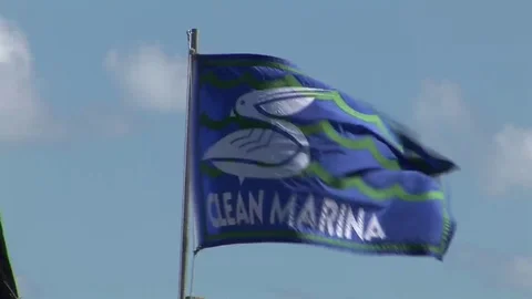 Flag swaying in wind Video stock 93225955