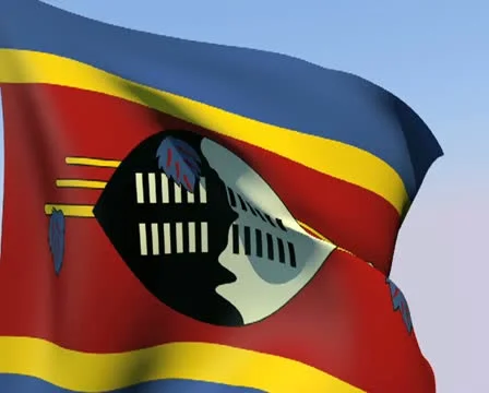 Flag of Swaziland PAL Stock Footage 14813376