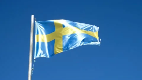 Flag of Sweden fluttering in the wind Stock-Footage 208966934