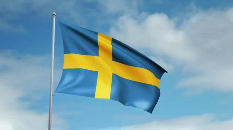 Flag of Sweden 스톡 동영상 444995