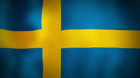 Flag Sweden Stock Footage 49682277