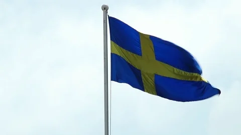 Flag of Sweden 스톡 동영상 113997190