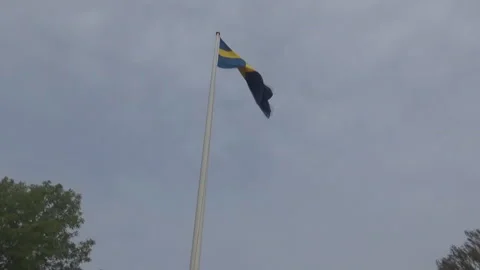 Flag of sweden Stock Footage 119122833
