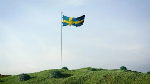 Flag of Sweden Stock Footage 168274234