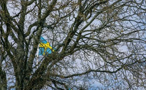 Flag of Sweden Stock Photos