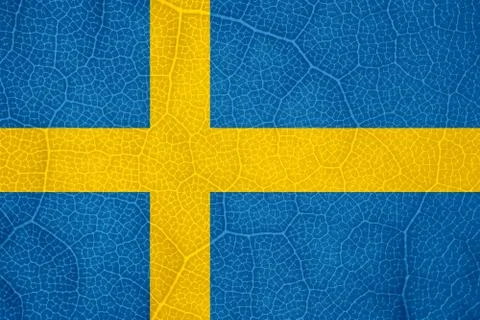 Flag of Sweden on the structure of a tree leaf macro Photos