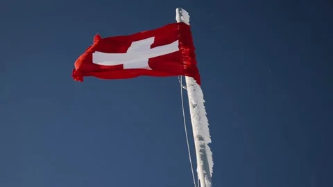 Flag of Switzerland waving in the wind in winter, clear sky on the background Stock Footage 224744282