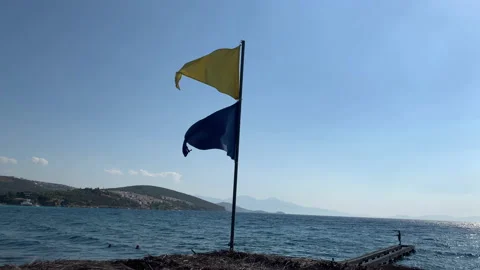 Flag, symbol Stock Footage 162478789