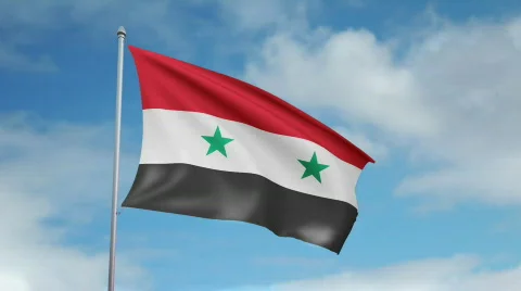 Flag of Syria 스톡 동영상 444987