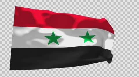 Flag of Syria Stockbeeldmateriaal 59850297