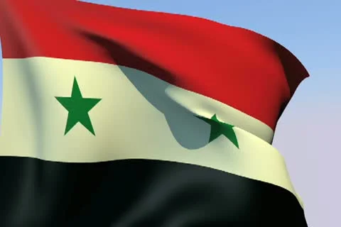 Flag of Syria NTSC 動画素材 14814174