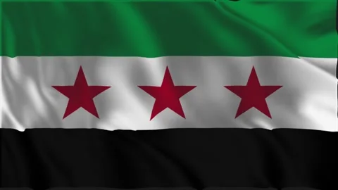 Flag of Syria waving slowly Stock Footage 337959867