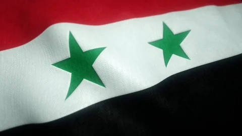 Flag of syria waving in the wind Stock-Footage 121769317