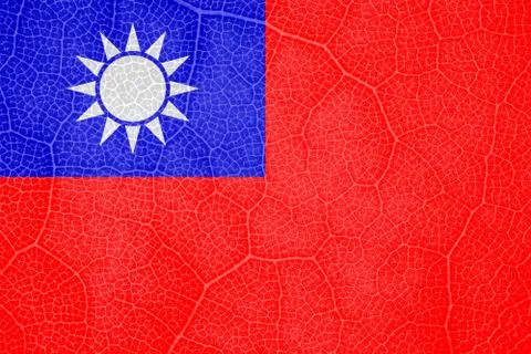 Flag of Taiwan on the structure of a tree leaf macro Stock-Fotos