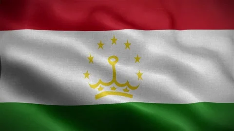 Flag of Tajikistan fluttering in the wind Video stock 223345920