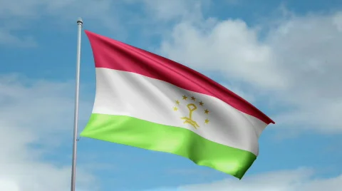 Flag of Tajikistan Video stock 450118