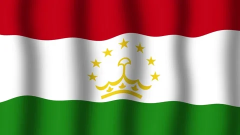 Flag of Tajikistan Stock Footage 175857428