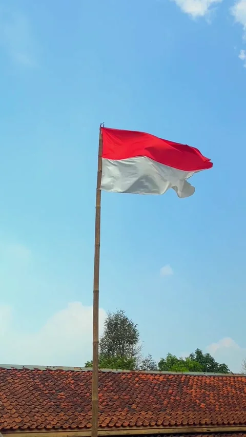 Flag on a Tall Pole in Bright Sky Видео 344608066