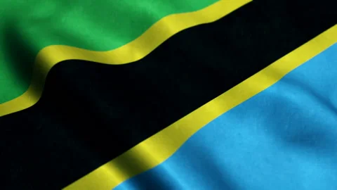 Flag of Tanzania with fabric structure; looping Stock Footage 232797765
