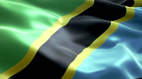 Flag Tanzania Video stock 47781081