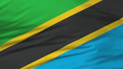 Flag of Tanzania Stock Footage 149001507