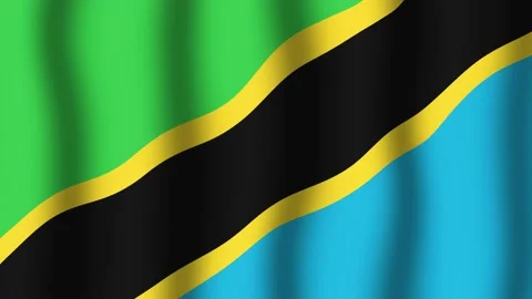 Flag of Tanzania Stock Footage 175682661