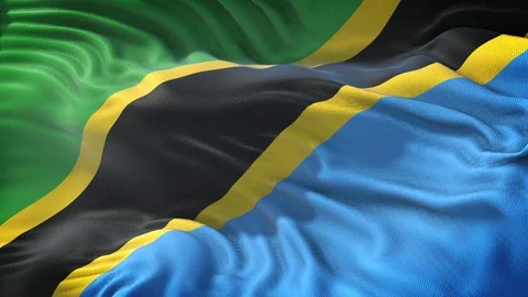 Flag of Tanzania Loop Stock Footage 104311501