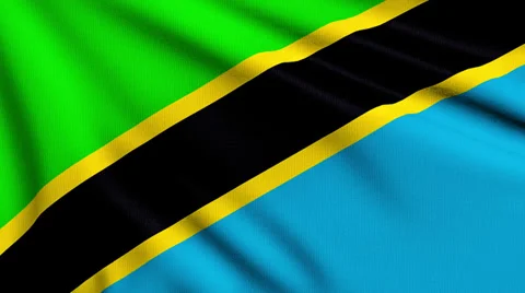 Flag of Tanzania looping Stock Footage 33805960