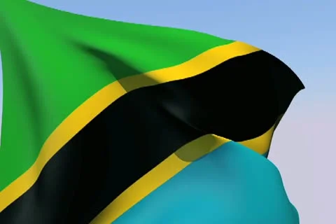 Flag of Tanzania NTSC Stock Footage 14815320
