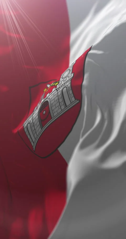 Flag of Tartu city, Estonia. Loop. 4K Vertical Video stock 316585853