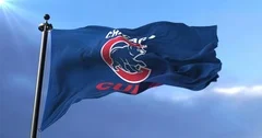 15 Chicago Cubs Flag Stock Video Footage - 4K and HD Video Clips