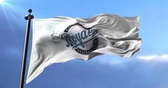 Kansas City Royals flag, american profes, Stock Video