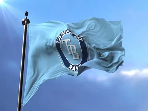 Flag of the team Tampa Bay Rays, american professional baseball, waving - loop Stock Footage 84927473