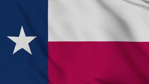 Flag of Texas – 4K Seamless Loop of The Lone Star State’s Legendary Banner 스톡 동영상 309487196