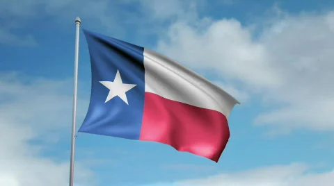 Flag of Texas Video stock 444972