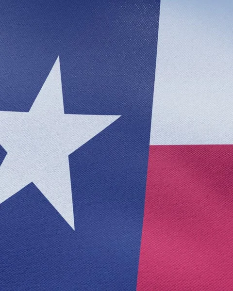 Flag of Texas 스톡 동영상 278613642