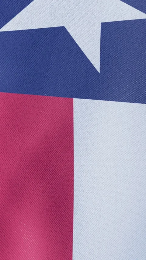 Flag of Texas Stock Footage 278613646