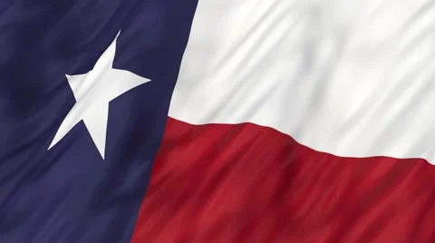 Flag of Texas 'The Lone Star Flag' waving in the wind. Vídeo Stock 49090070