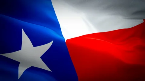 Flag of Texas video waving in wind. Realistic State Flag background. American Stock Footage 105026783