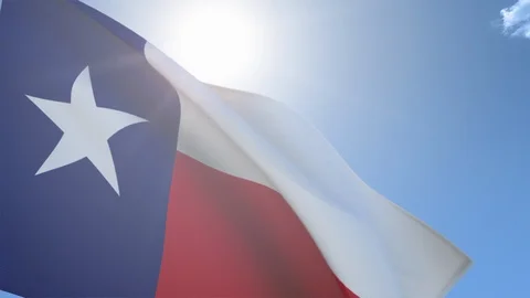 Flag of Texas Waving in the Wind Stock-Footage 118421916