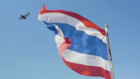 Flag of Thailand in wind Stock Footage 200774995