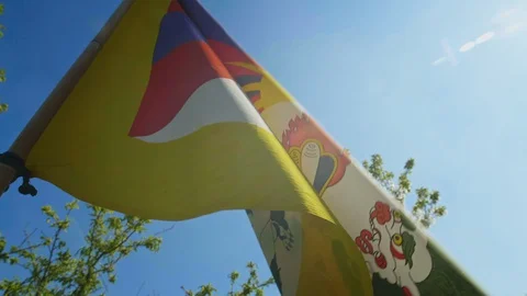 Flag of Tibet Waving in the wind wide shot, Sky and Sun and plants Background Video stock 128653544