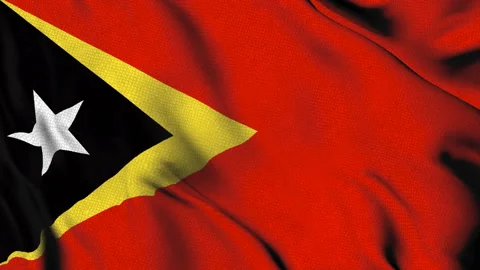 Flag of Timor Leste with star and triangles Stock Footage 314677990