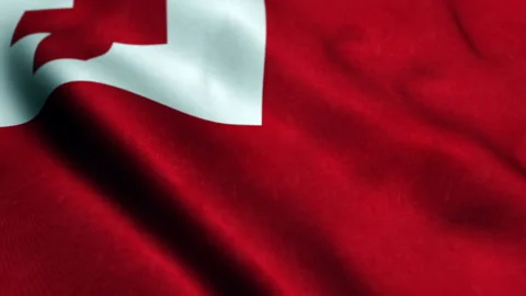 Flag of Tonga Beautiful 3d animation of Tonga flag in loop mode Video stock 235405023