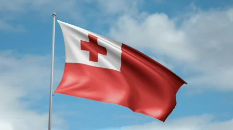 Flag of Tonga 스톡 동영상 450137
