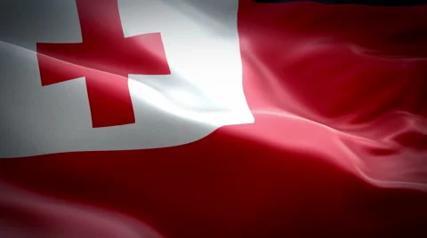 Flag of Tonga Stockbeeldmateriaal 47626771