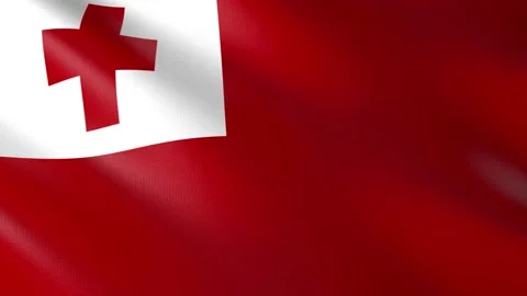 Flag of Tonga Stock Footage 151676168
