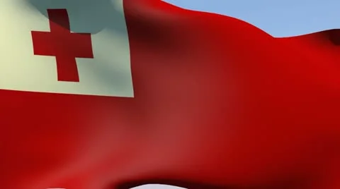 Flag of Tonga HD 스톡 동영상 14817329
