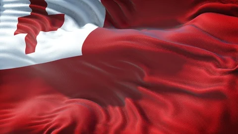 Flag of Tonga Loop Stock Footage 104312157