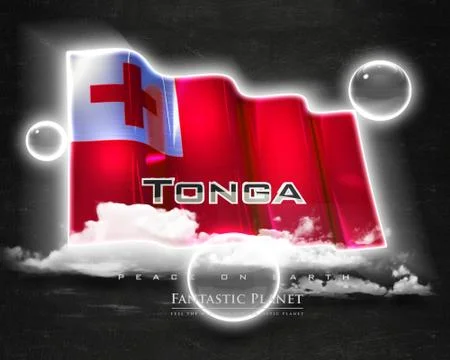 Flag Tonga quality designer flag Stock Illustration